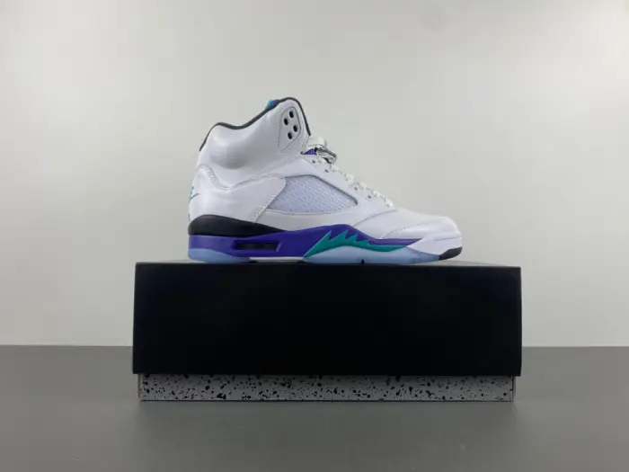 Air Jordan 5 Retro Grape (2025) 