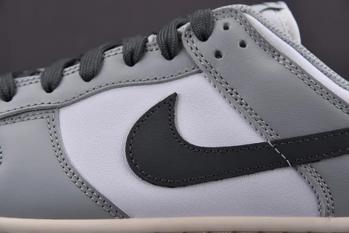 Nike Dunk Low Light Smoke Grey (W) 