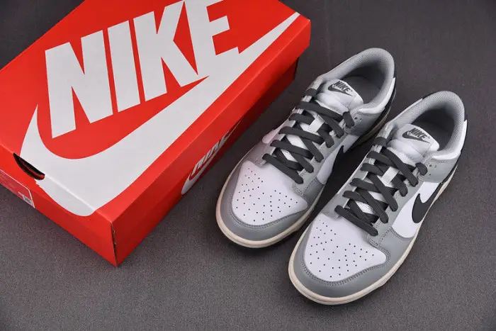 Nike Dunk Low Light Smoke Grey (W) 