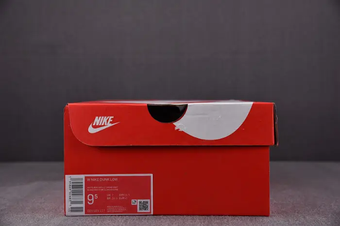 Nike Dunk Low Light Smoke Grey (W) 