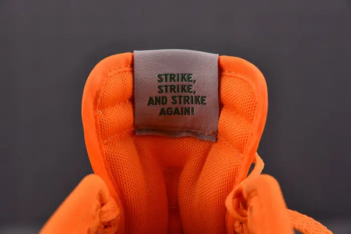 Nike Dunk Low Florida A&M University 