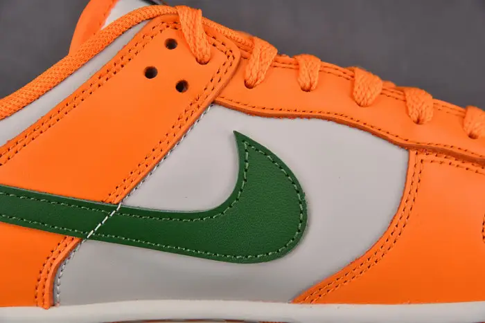 Nike Dunk Low Florida A&M University 