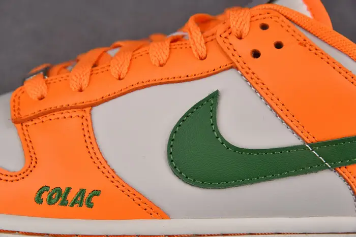 Nike Dunk Low Florida A&M University 