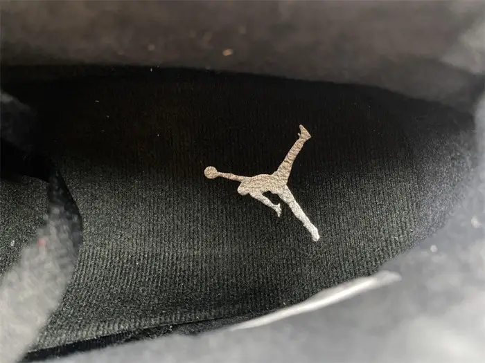air jordan 6 “metallic silver” 