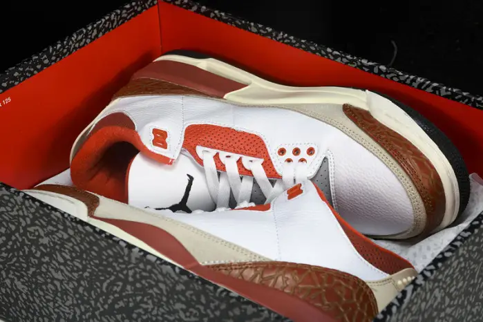 air jordan 3 retro se dunk on mars 