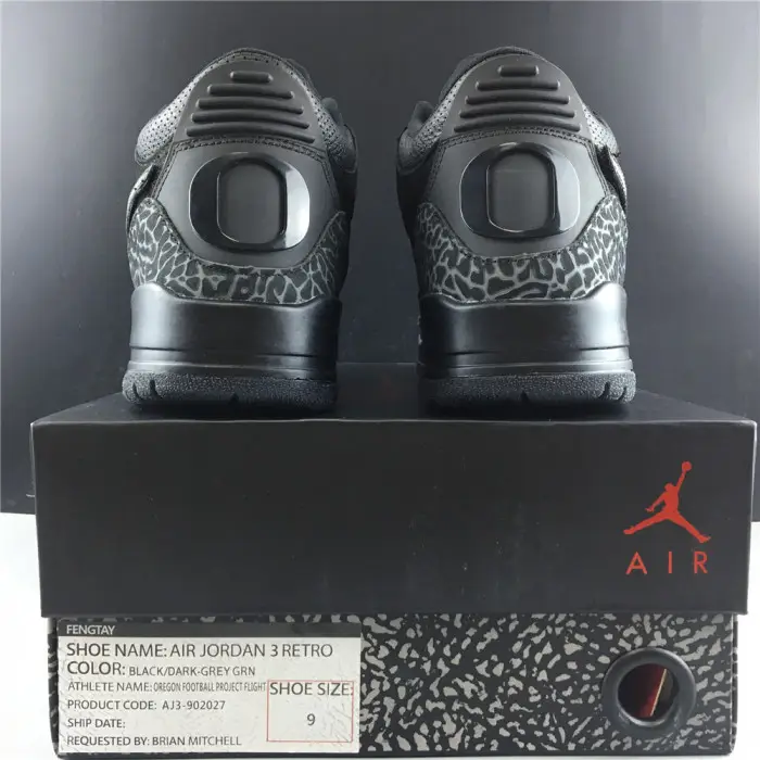 air jordan 3 retro oregon duck 