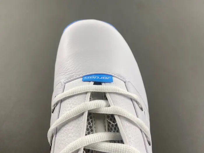 air jordan 17 low “university blue” 